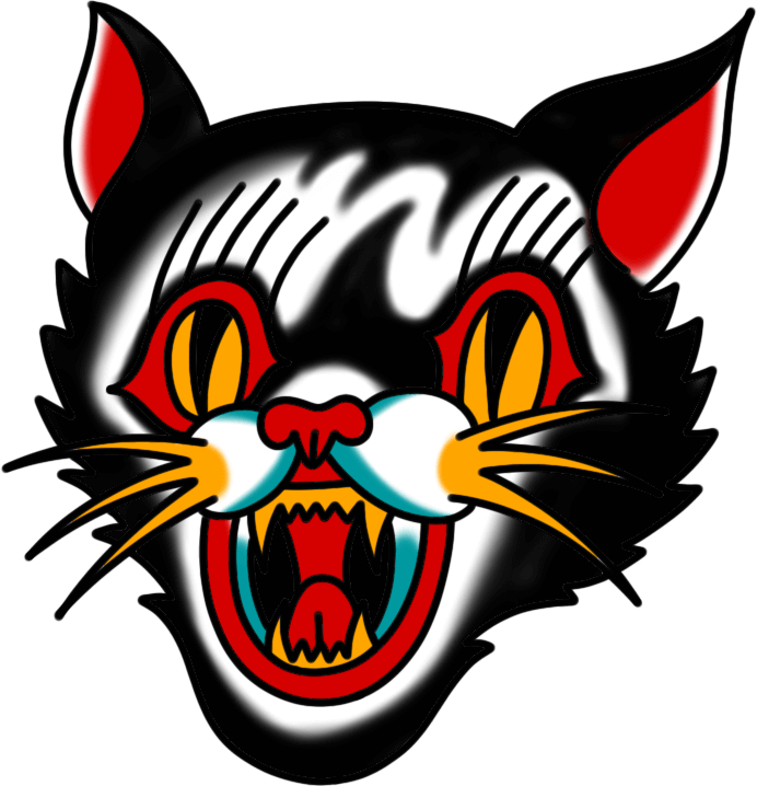 Traditional flash image of a black cat